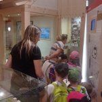 phoca_thumb_m_zajci mokady a  tic 85 Fotogalerie